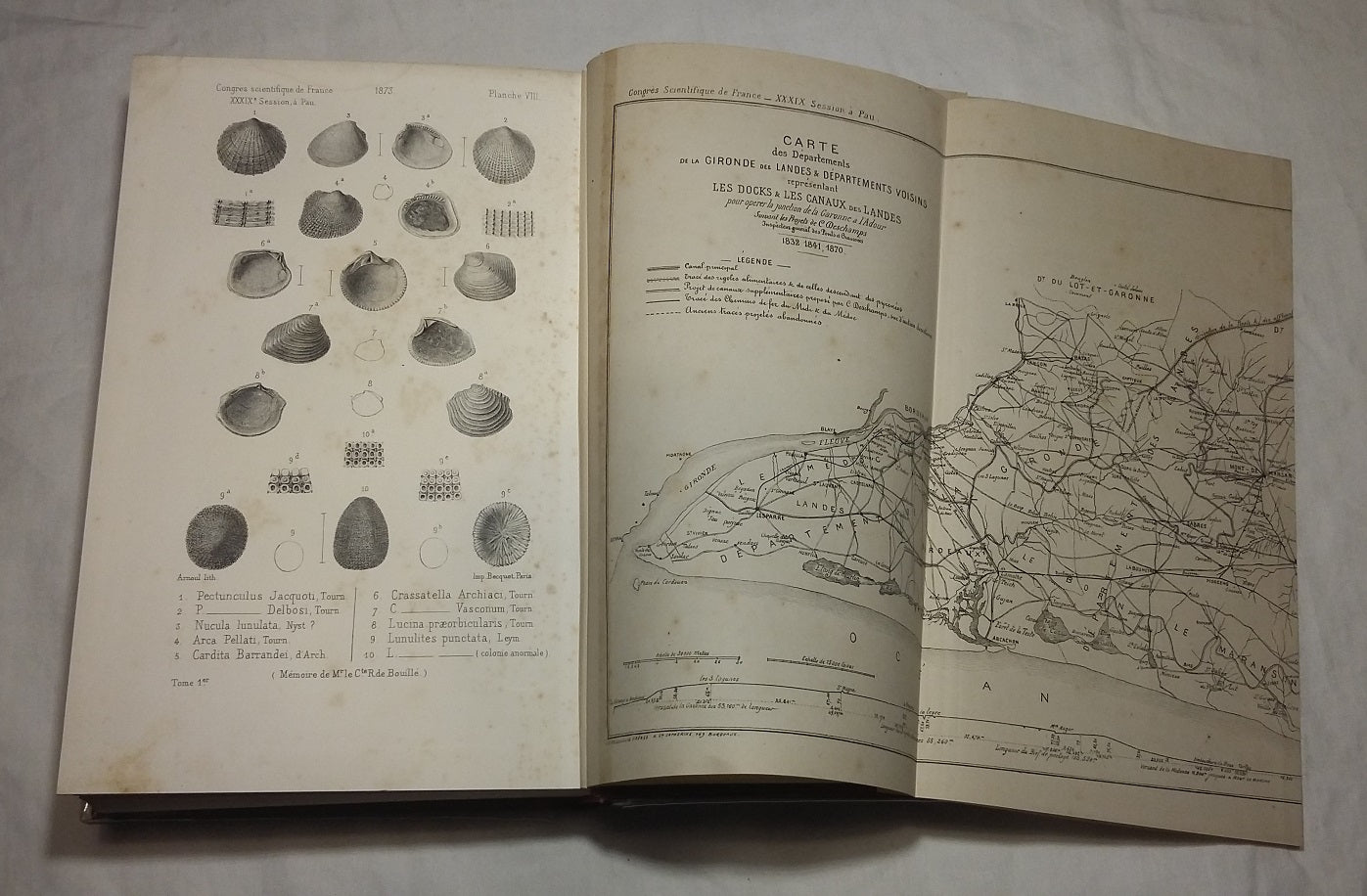 Congrès scientifique de France. Trente-neuvième session, tenue à Pau le 31 mars 1873- Tomes 1 & 2