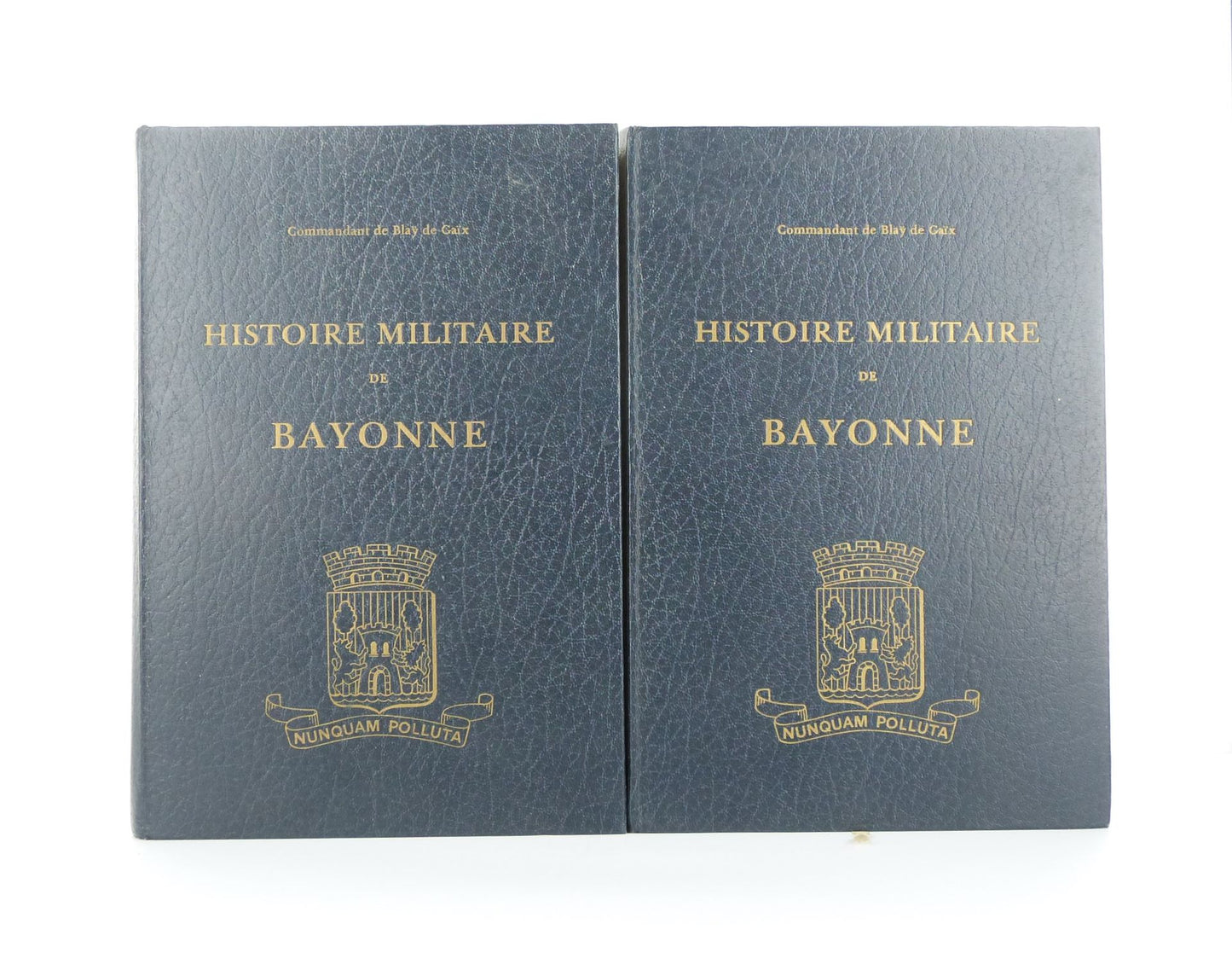 Military History of Bayonne - Volumes 1 and 2