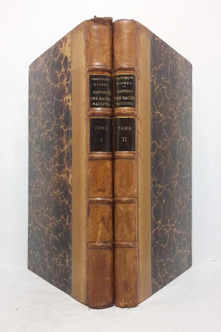 Histoires des races maudites de la France et de l'Espagne - Tomes I et II