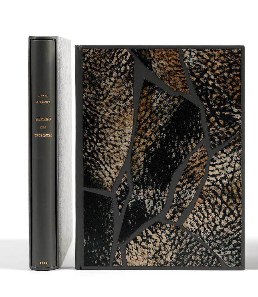 Arbres des tropiques