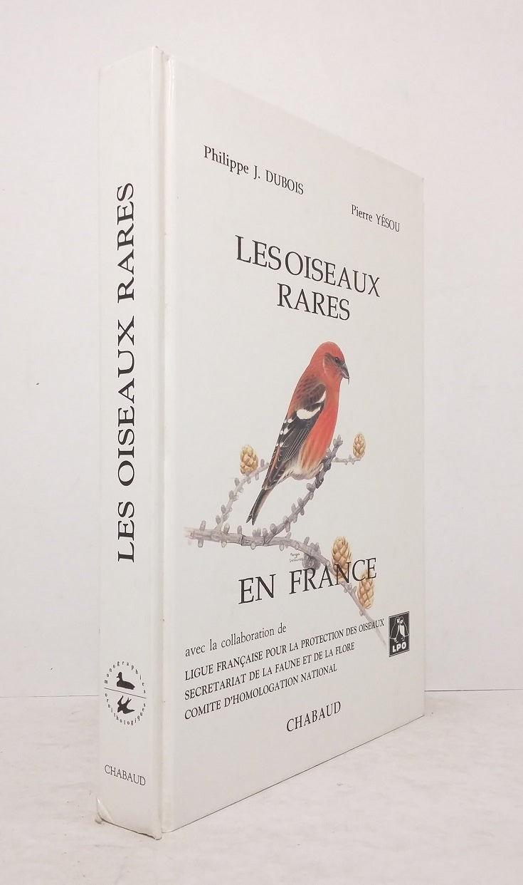 Rare birds in France
