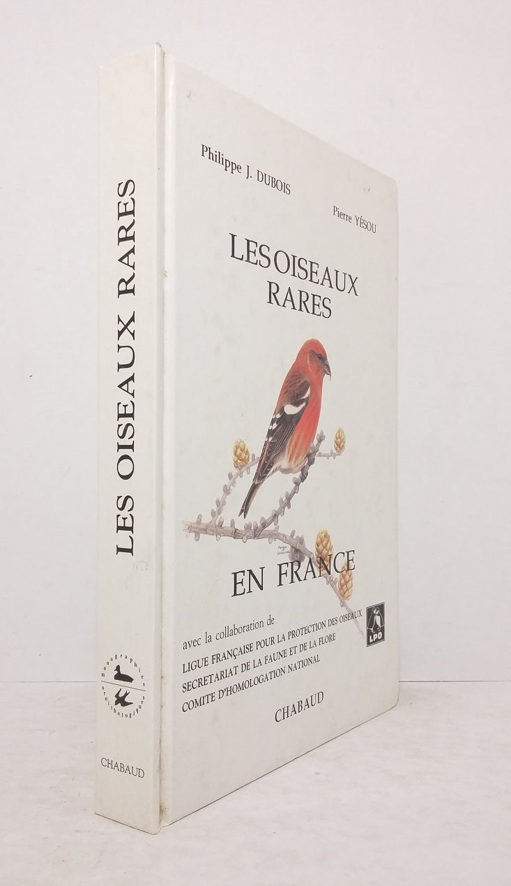 Rare birds in France