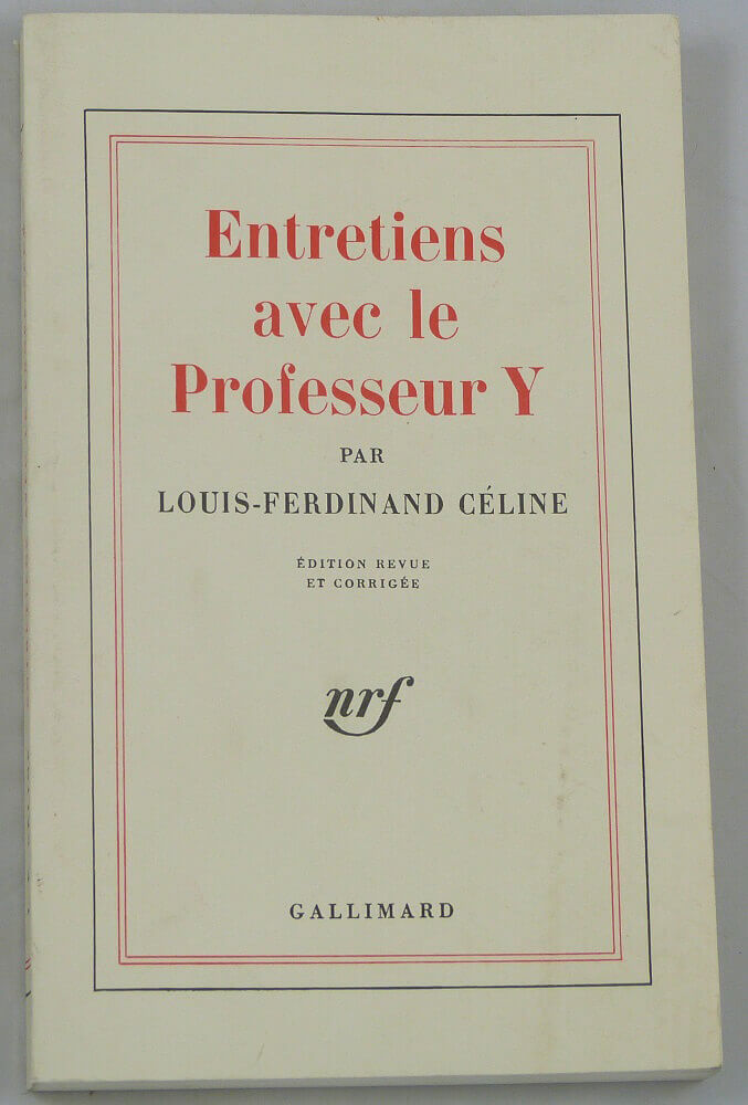 Interviews with Professor Y