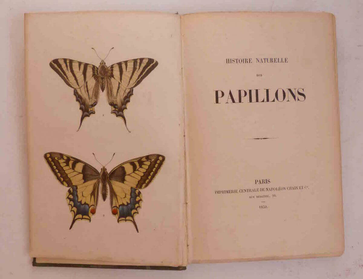 Histoire naturelle des papillons