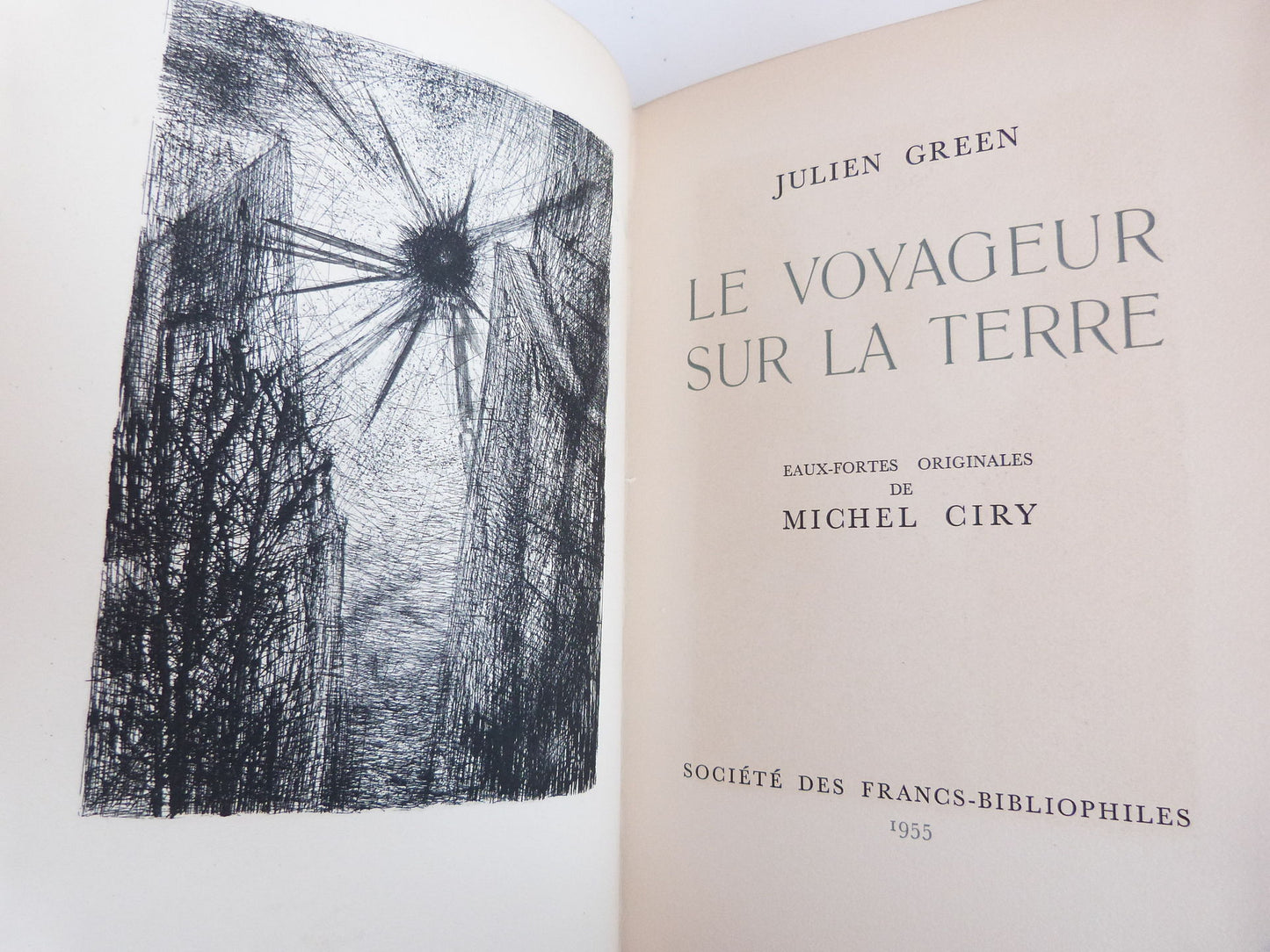 Le voyageur sur la terre