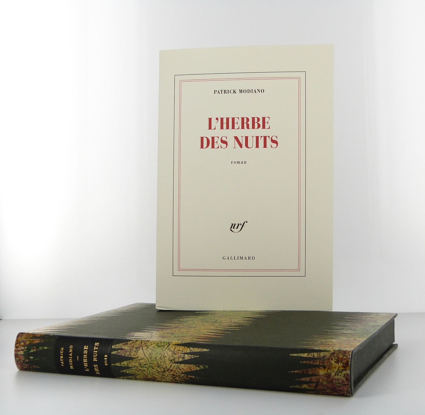L'herbe des nuits