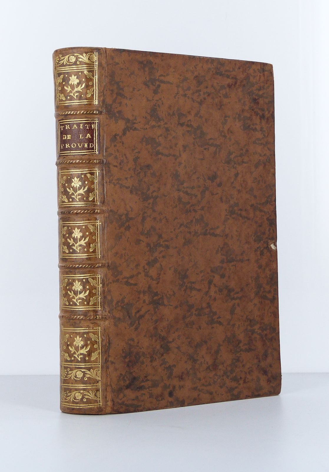 Treatise on Providence