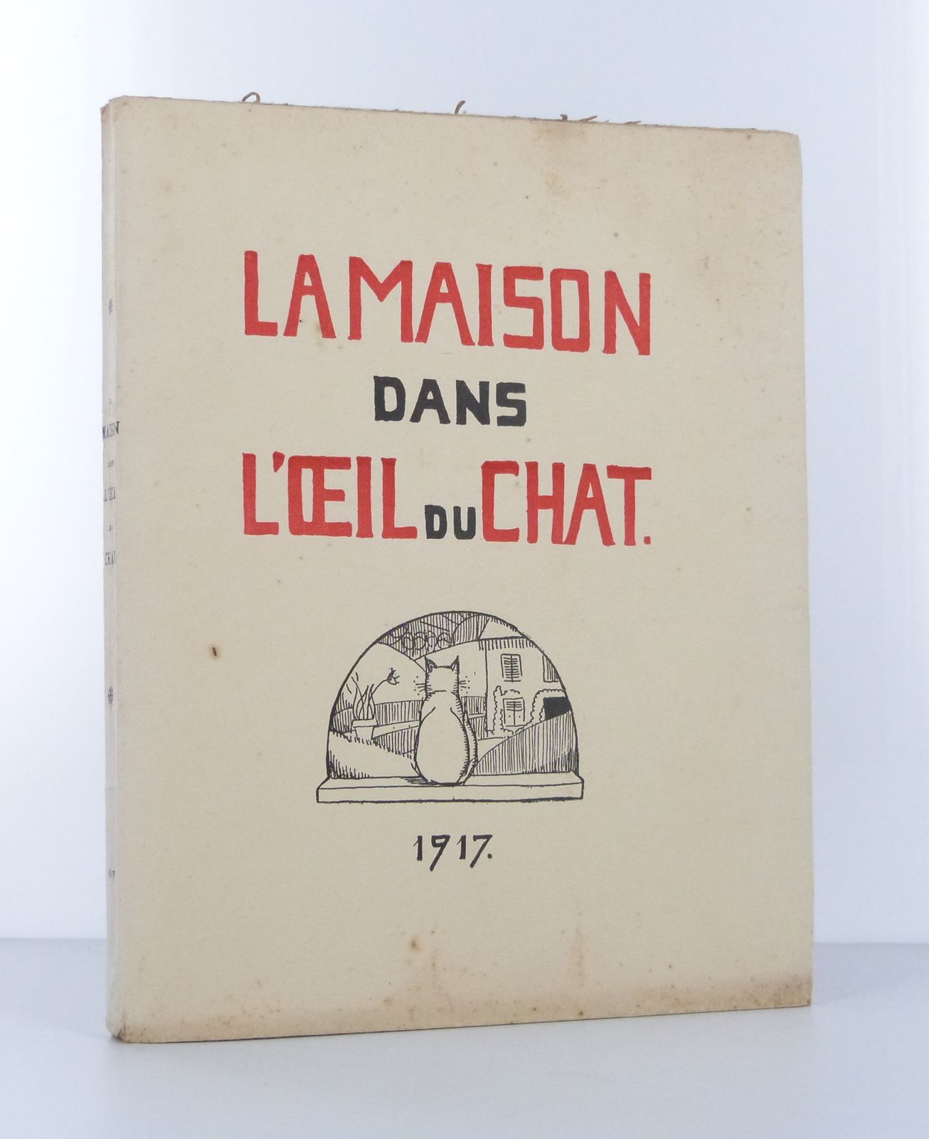 La maison dans l'oeil du chat