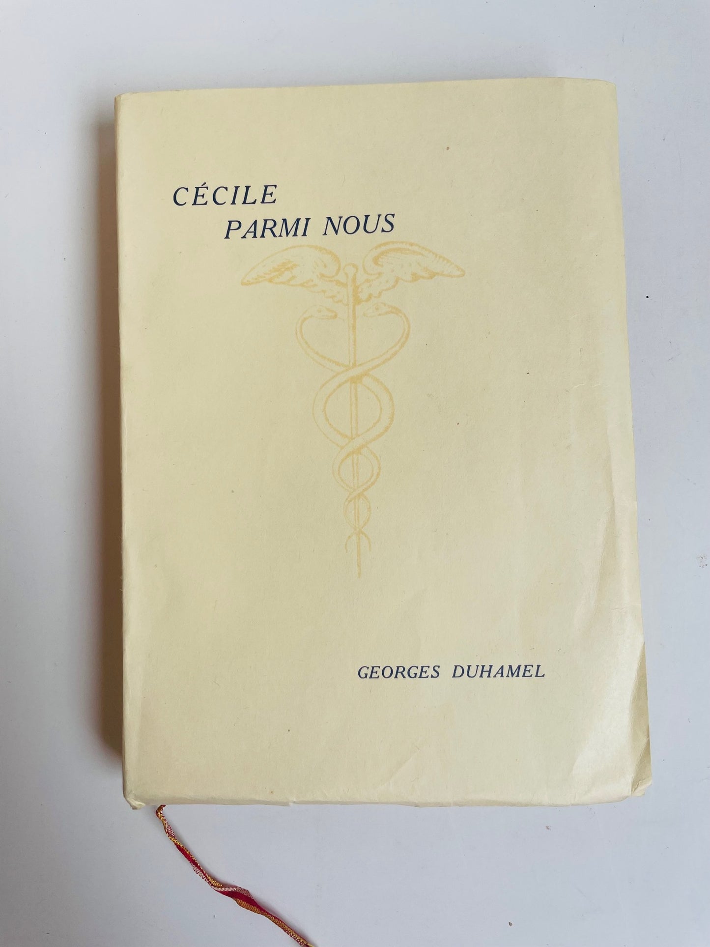 Cécile among us