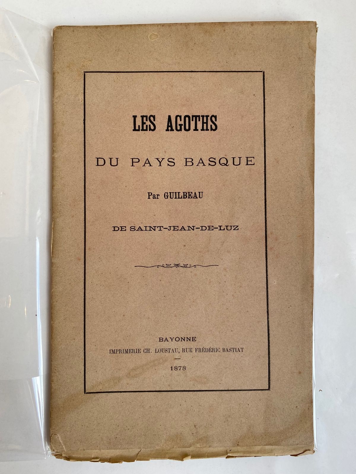 Les Agoths du Pays Basque