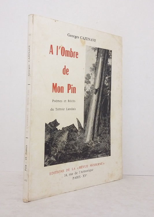A l'ombre de mon pin.