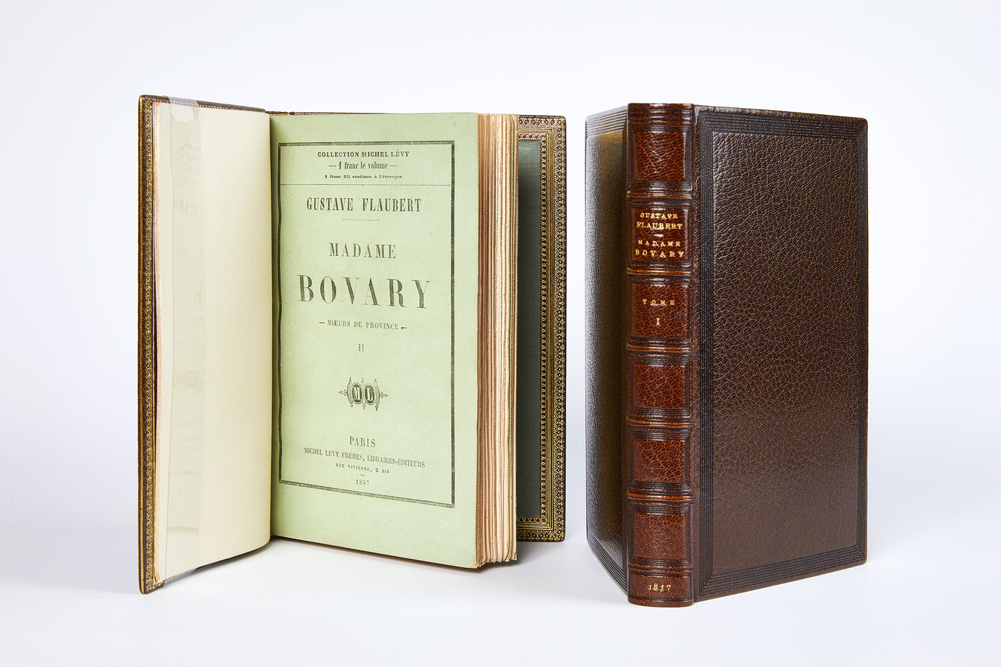Madame Bovary. Moeurs de province.