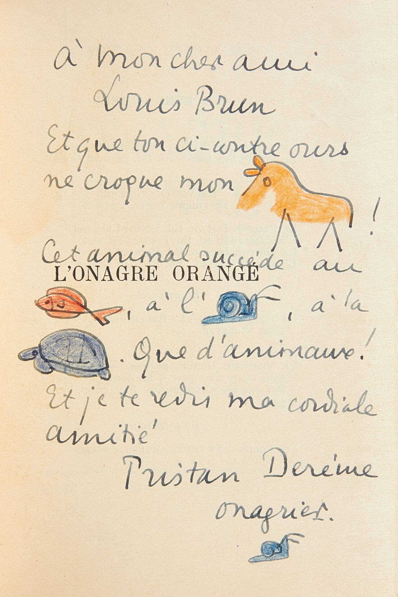 L’Onagre orangé