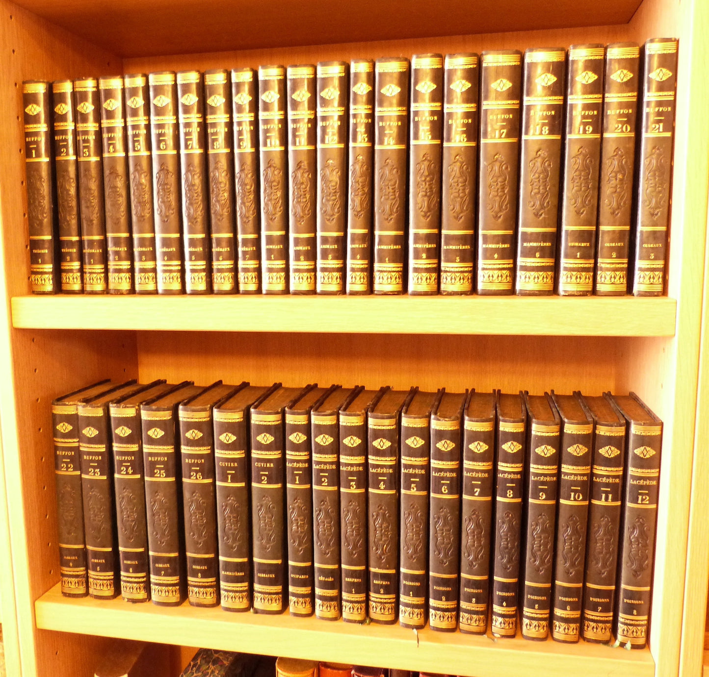Oeuvres complètes de Buffon, augmentées par M.F. Cuvier de deux volumes supplémentaires