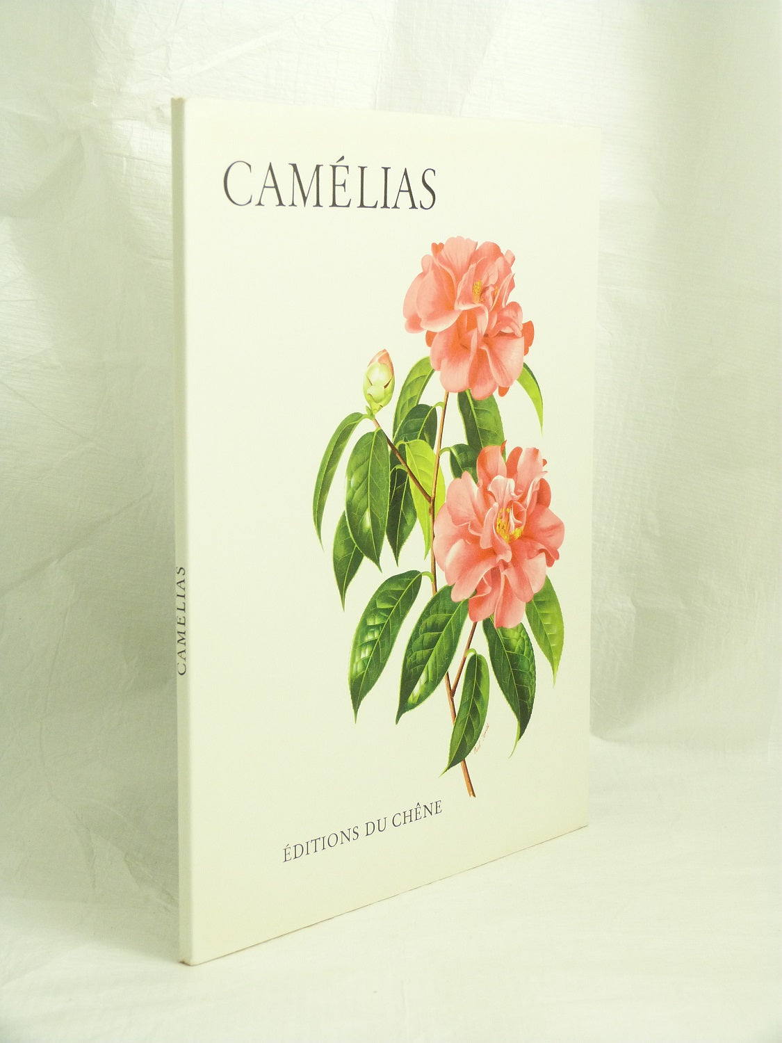 Camélias