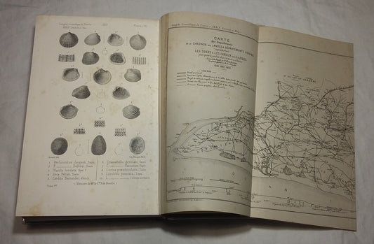 Congrès scientifique de France. Trente-neuvième session, tenue à Pau le 31 mars 1873- Tomes 1 & 2