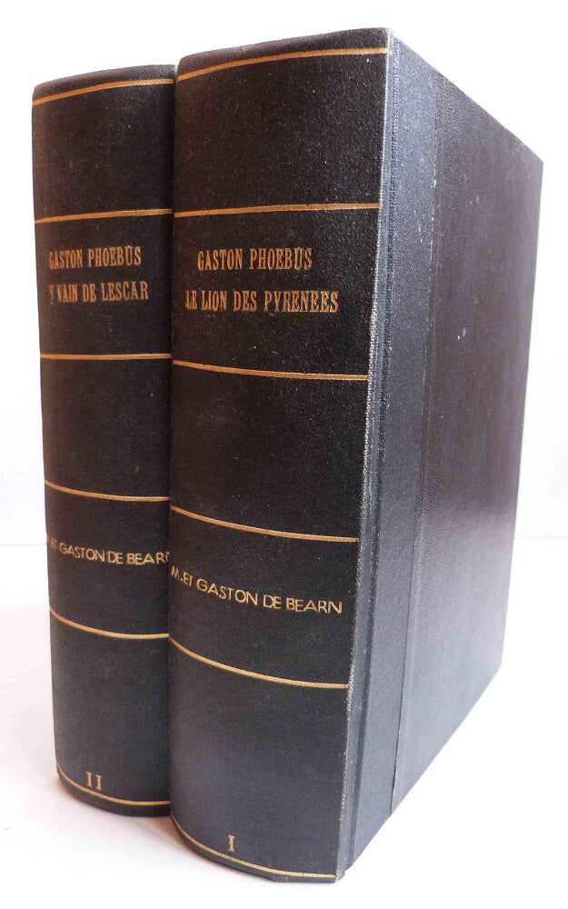 La vie fabuleuse de Gaston Phoebus