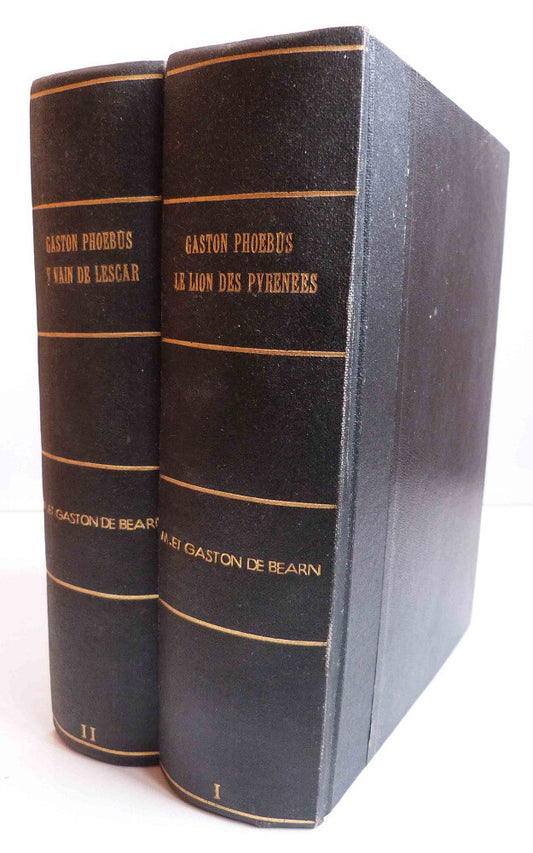 La vie fabuleuse de Gaston Phoebus