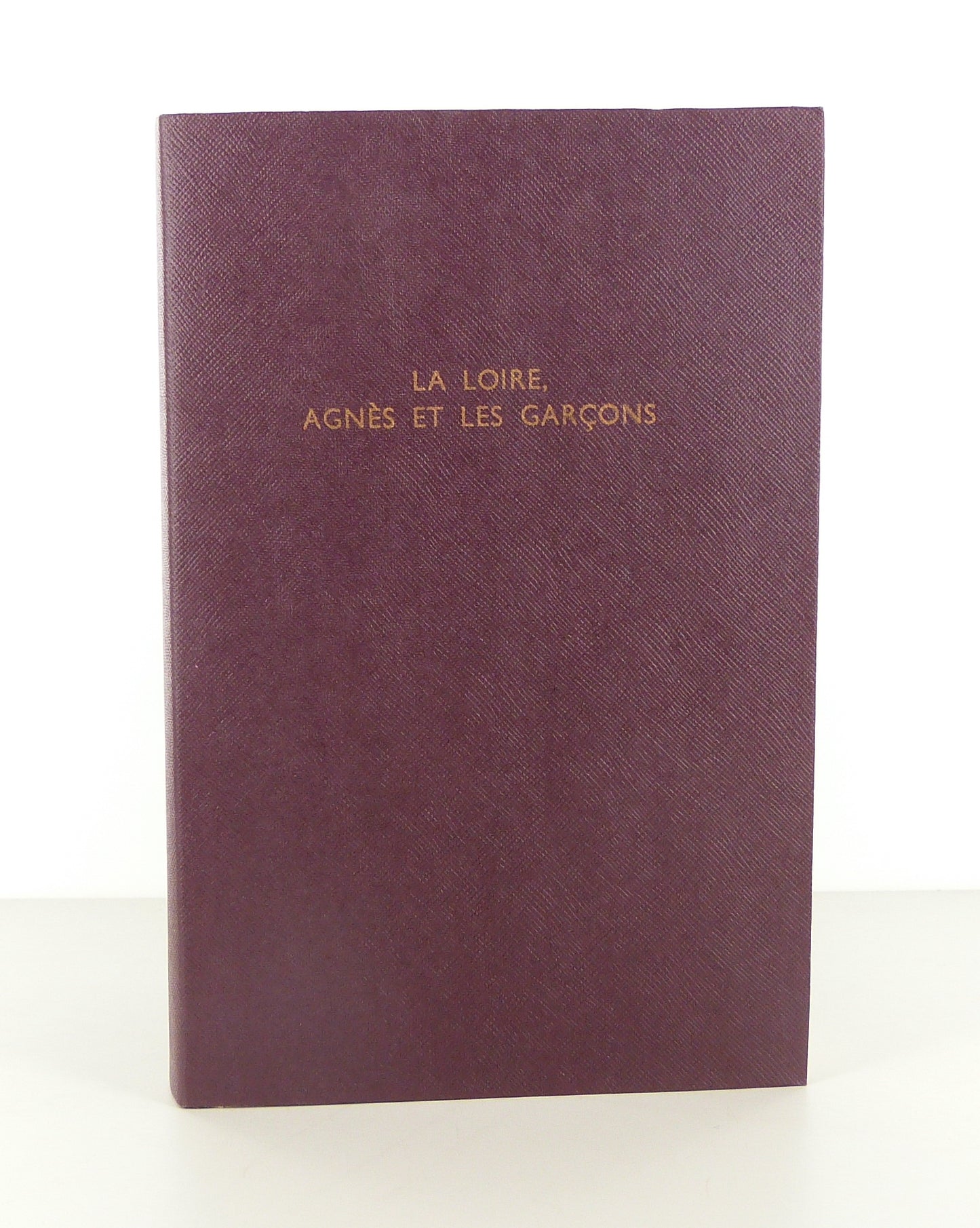 The Loire, Agnes, and the boys