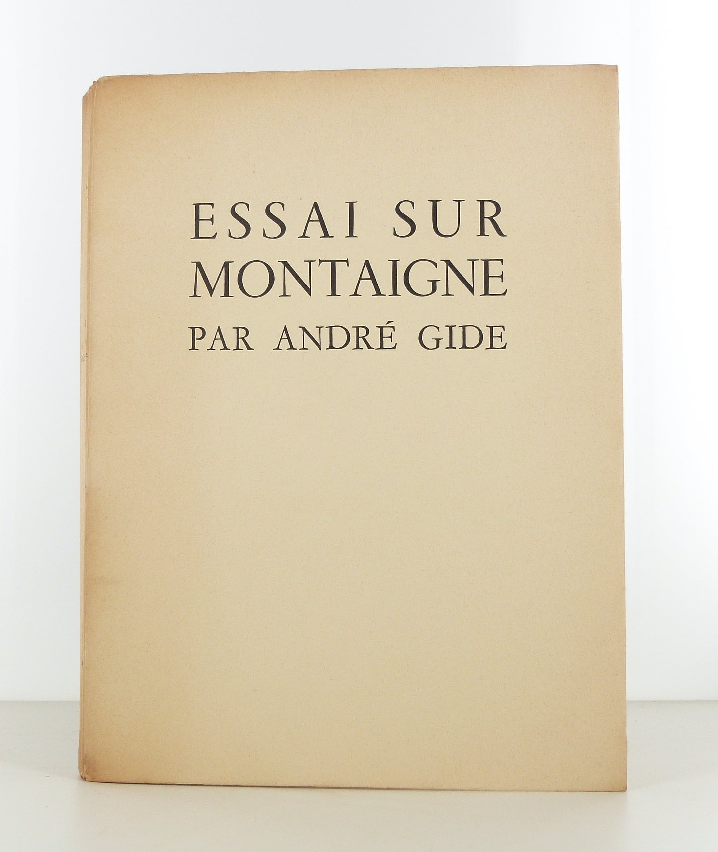 Essay on Montaigne