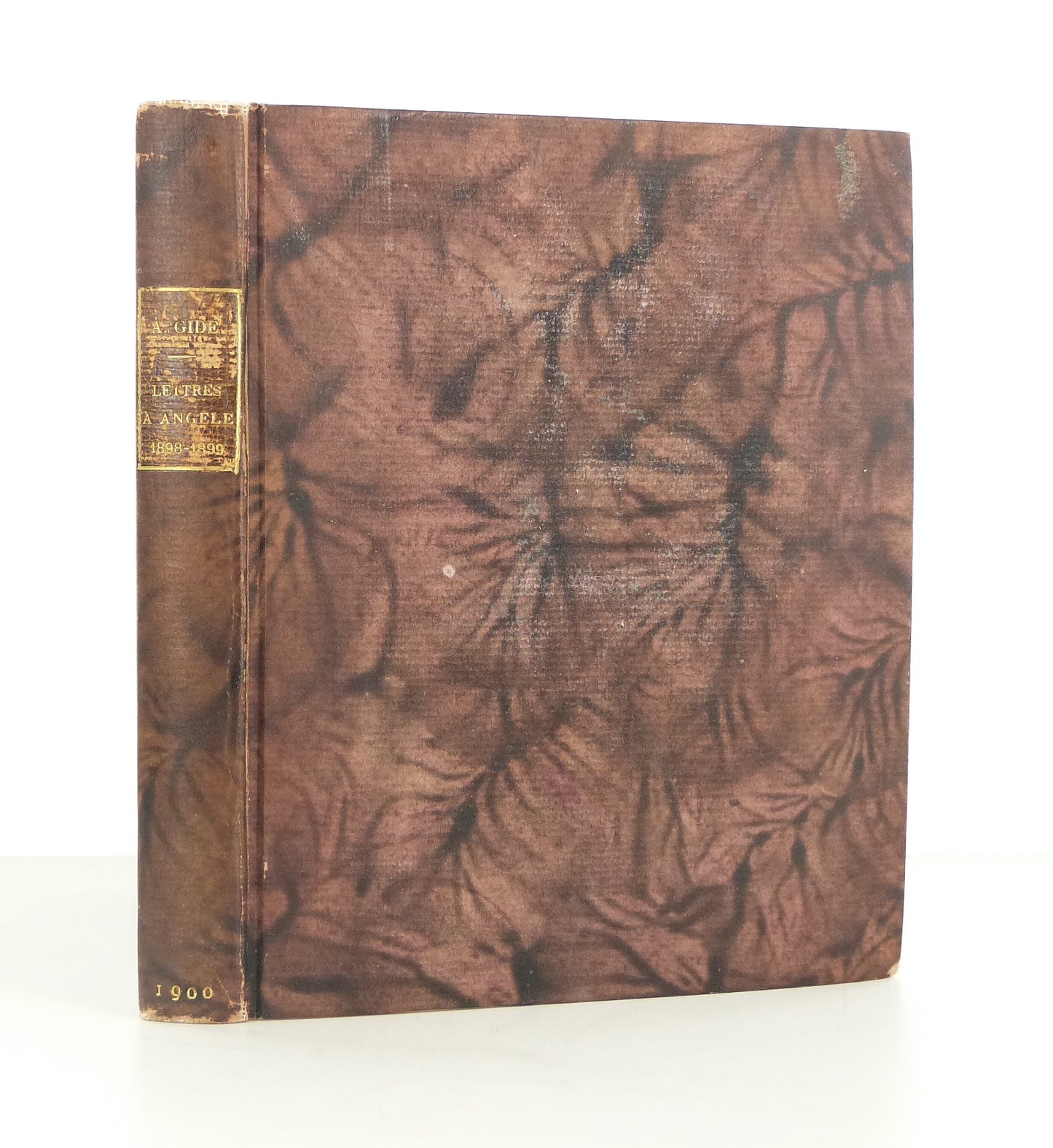 Letters to Angèle (1898-1899)