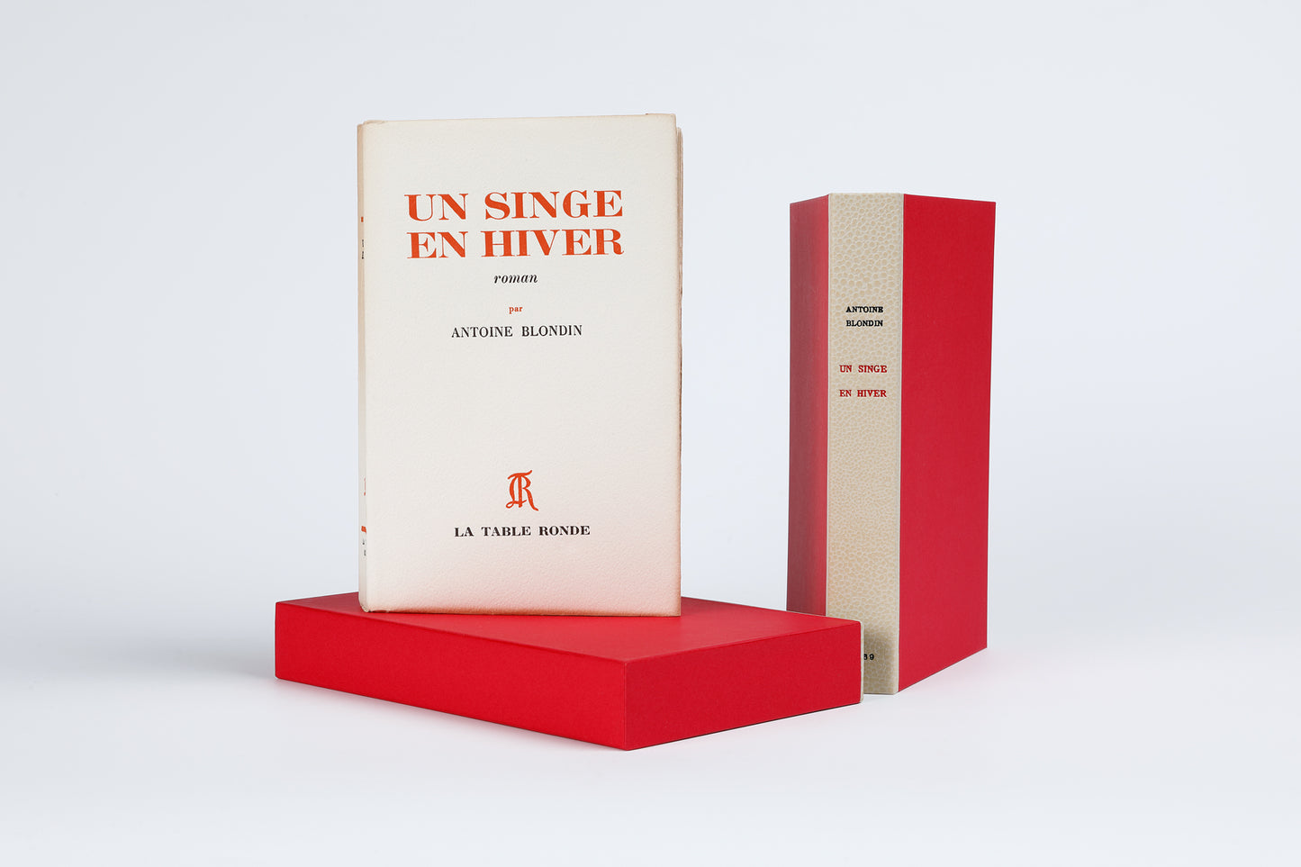 Un singe en hiver.