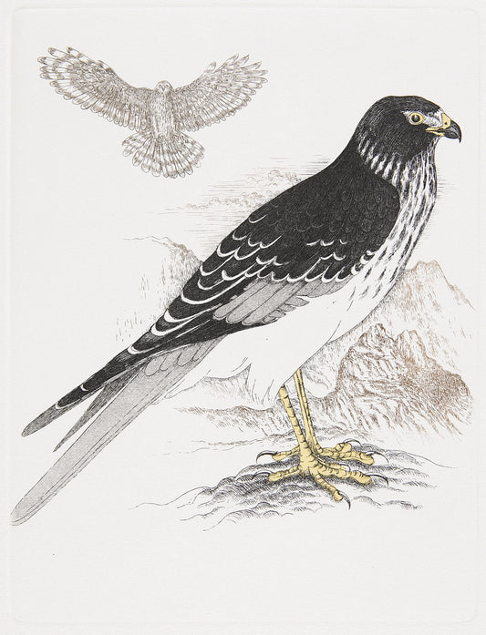 Oiseaux endémiques des îles Mascareignes