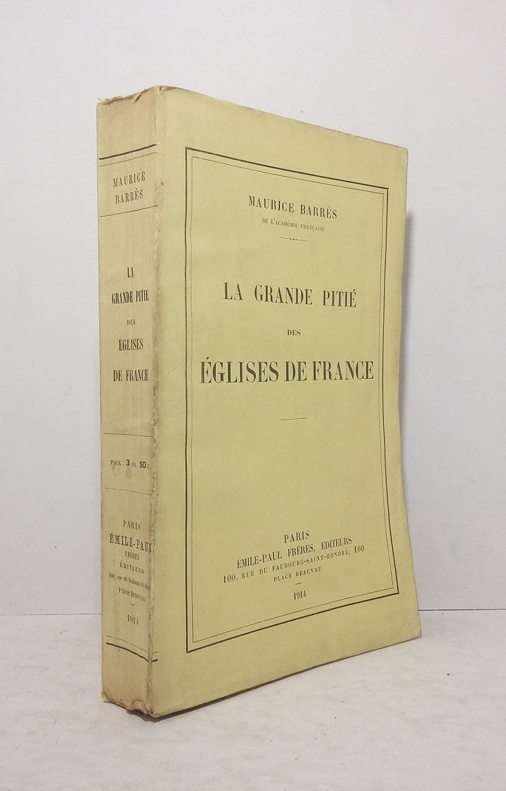 La grande pitié des église de France
