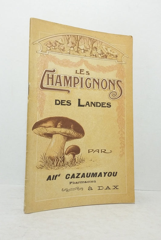 Les champignons des Landes