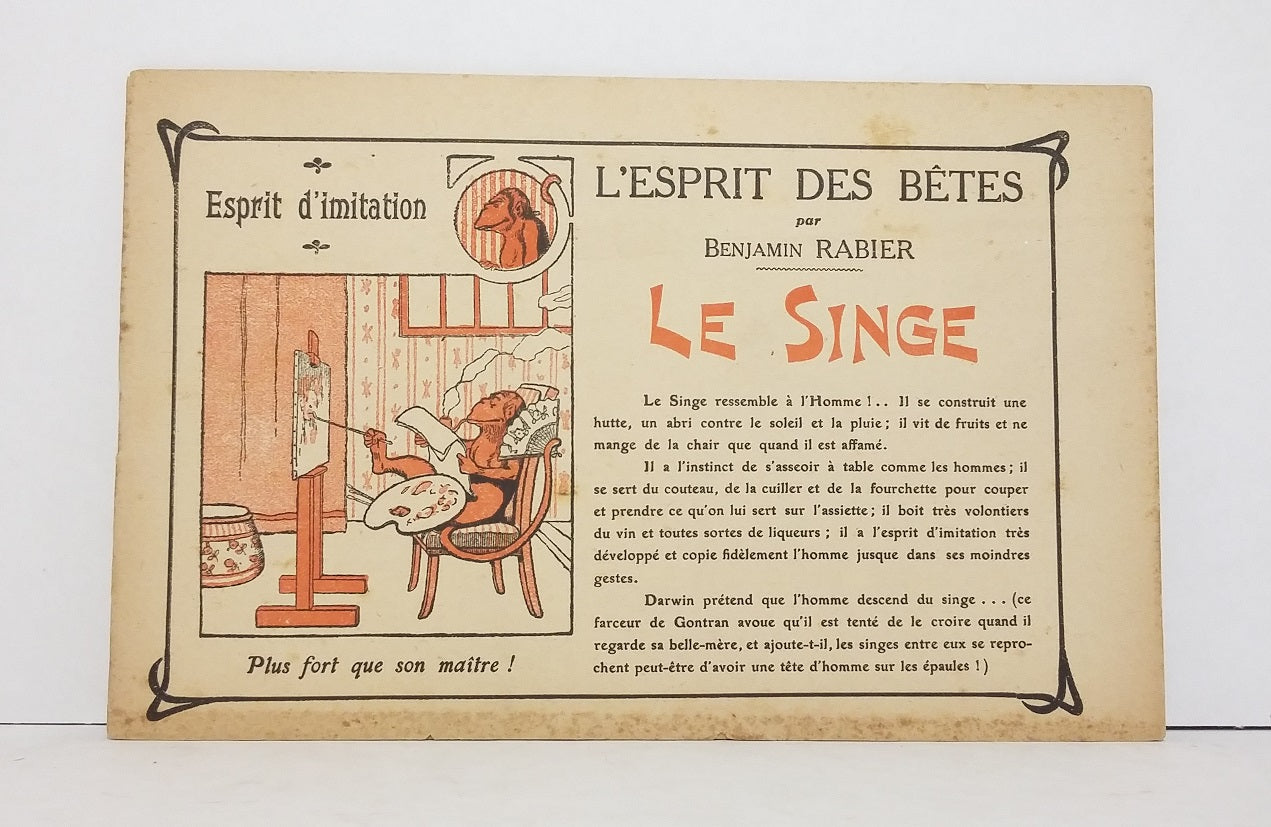 L'Esprit des Bêtes : Le Singe