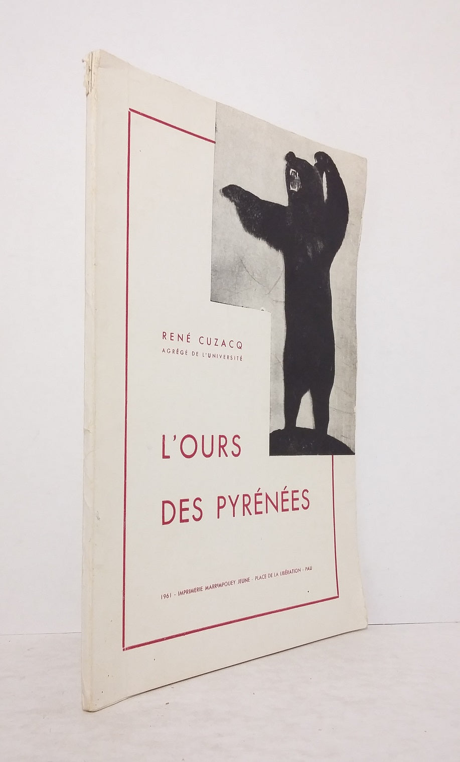 L'ours des Pyrénées