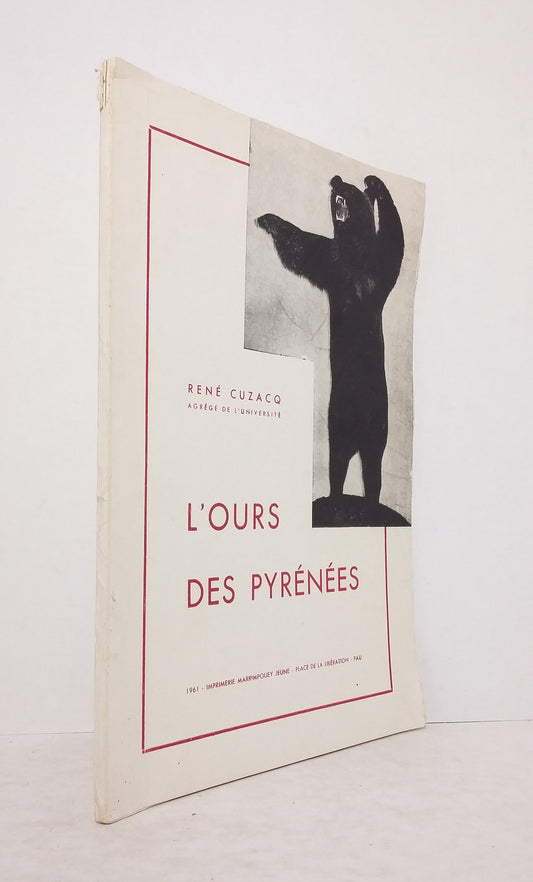 L'ours des Pyrénées