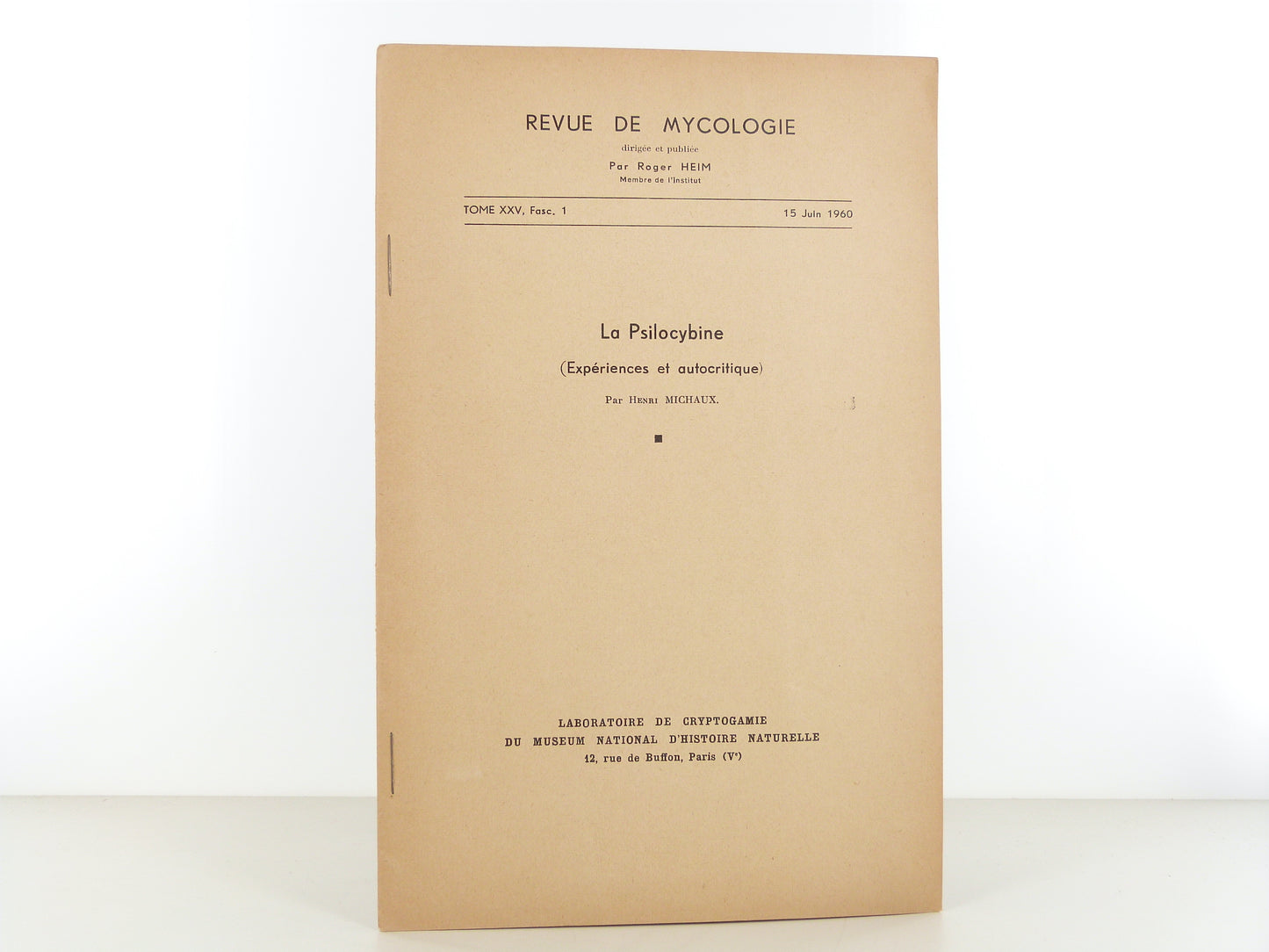 La Psilocybine (Expériences et autocritique)