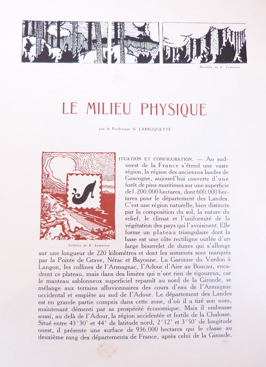 Nos Landes - Vision d'ensemble sur le Pays Landais