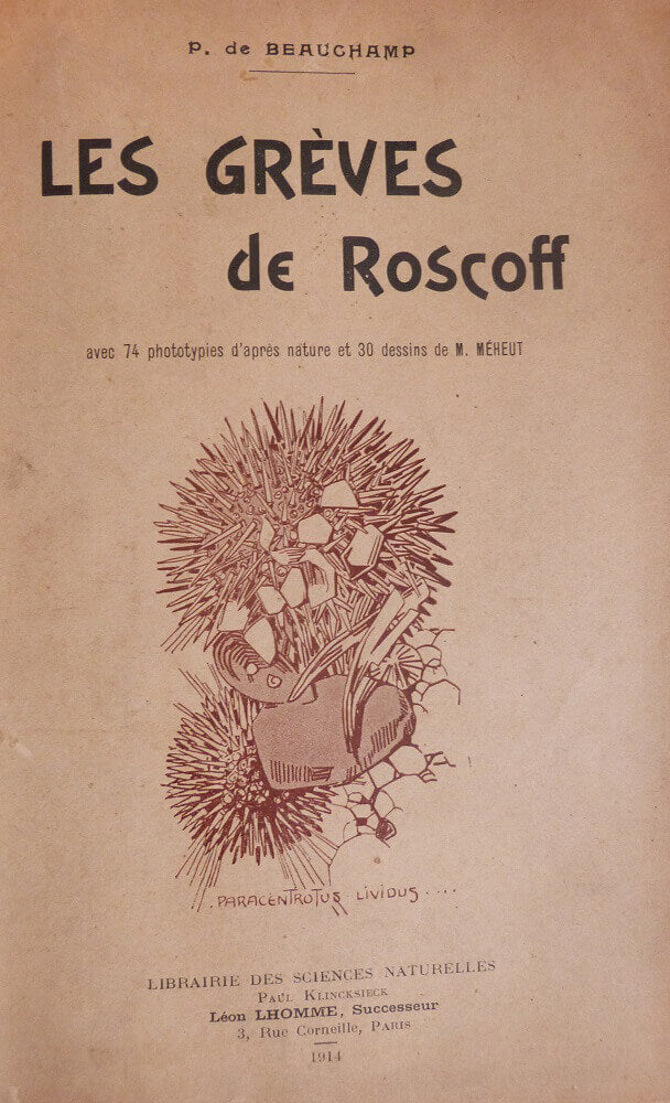 Les Grèves de Roscoff