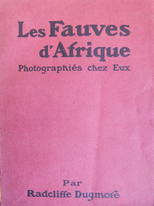 Les Fauves d'Afrique photographiés chez eux