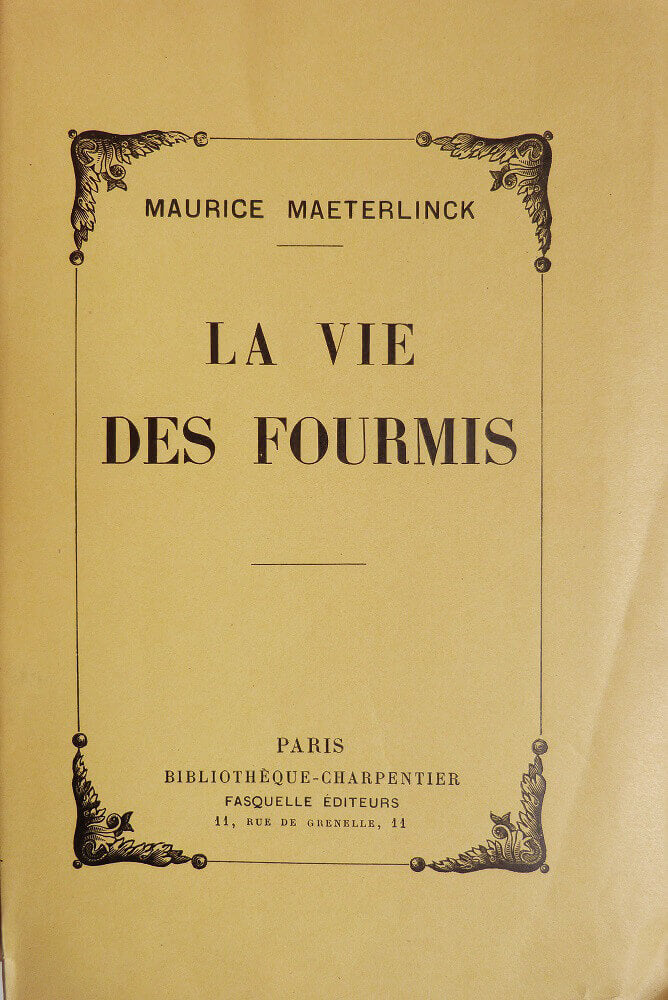 La vie des fourmis