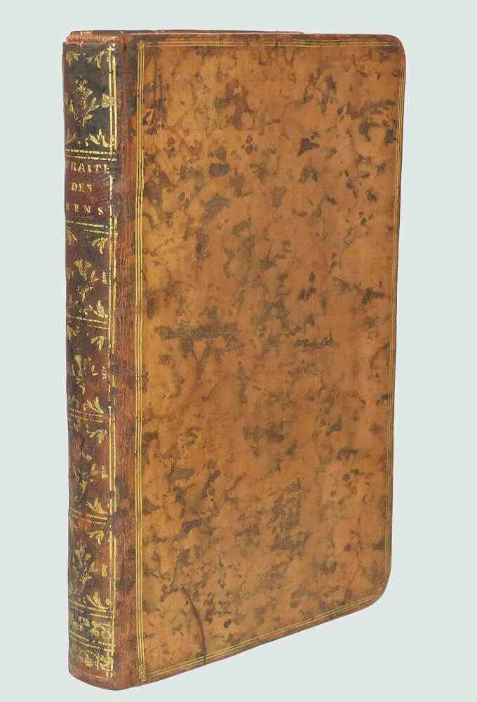 The Treaty of the Senses
