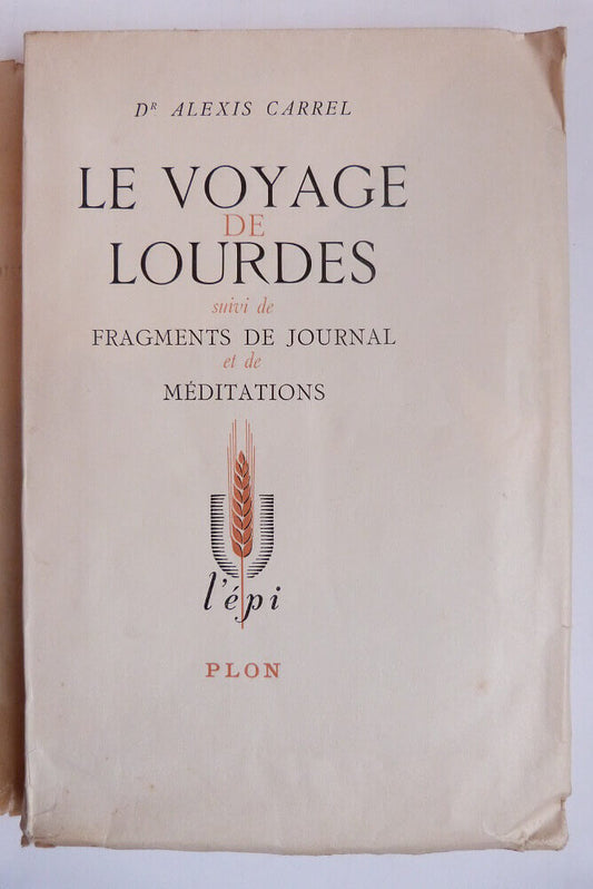 The pilgrimage to Lourdes,