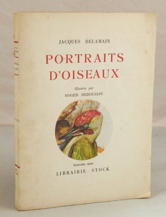 Portraits d'oiseaux