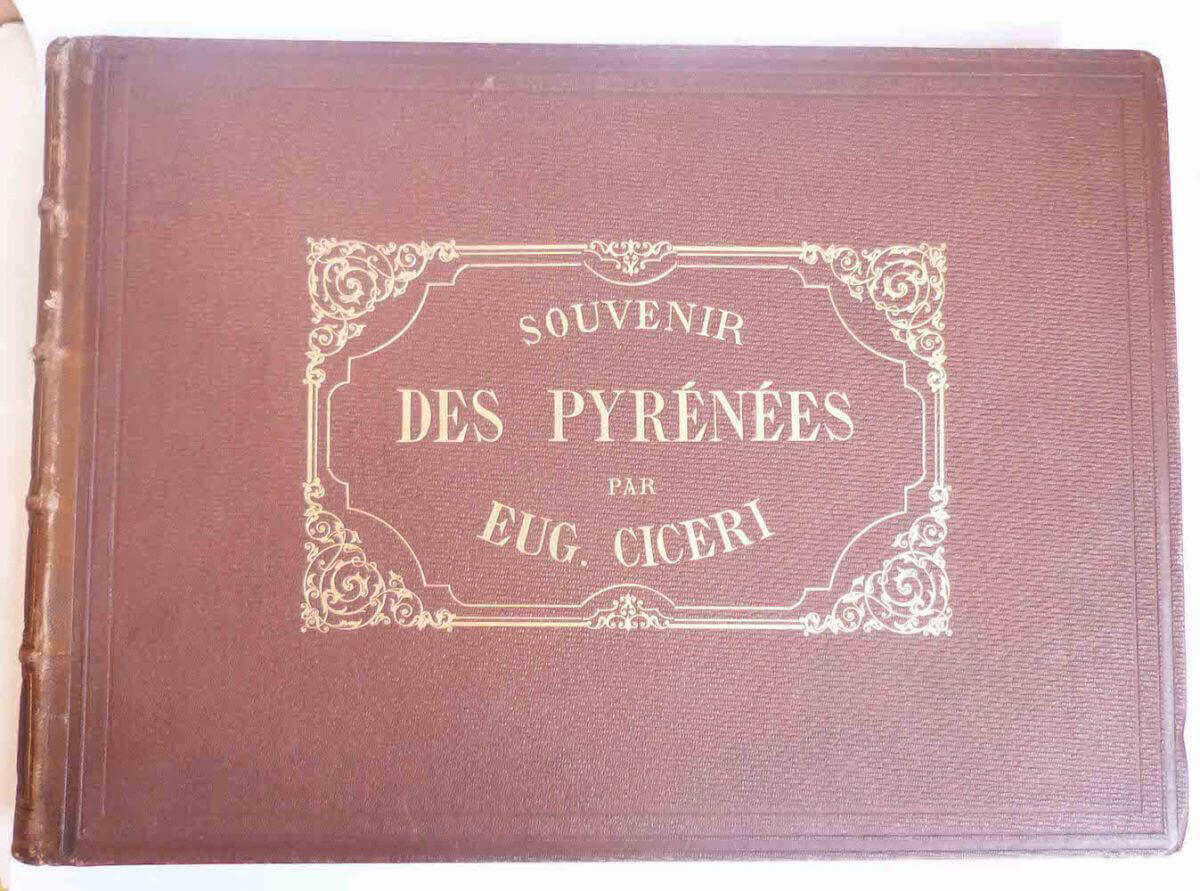 Les Pyrénées dessinées d'après nature et lithographiées.