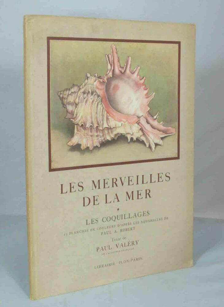 Wonders of the sea.