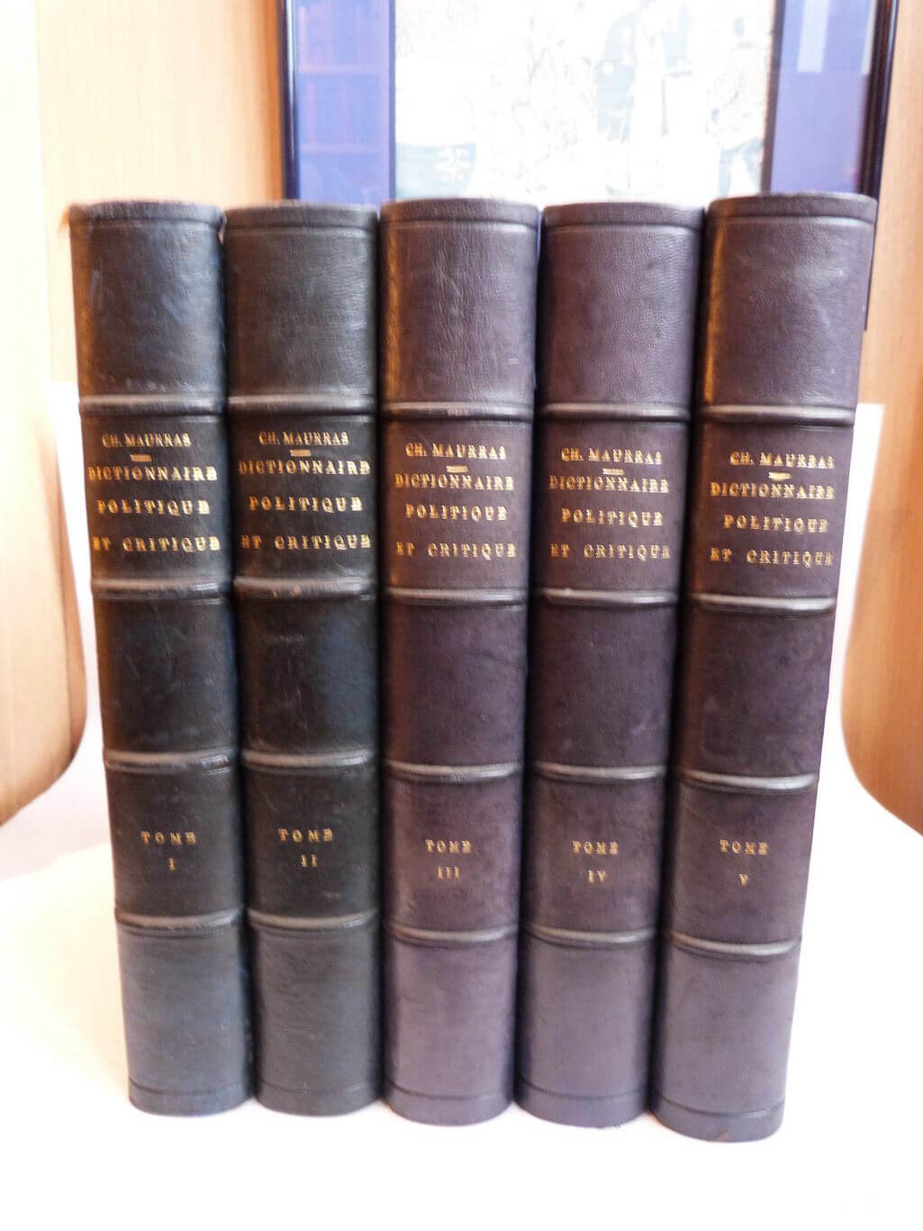 Dictionnaire politique et critique,