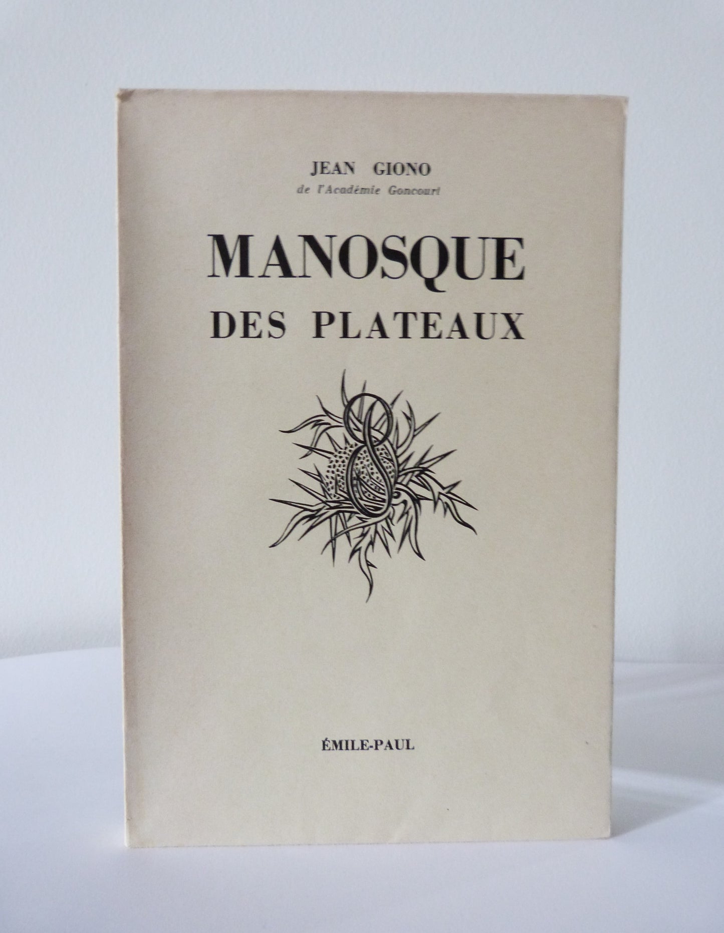 Manosque des plateaux