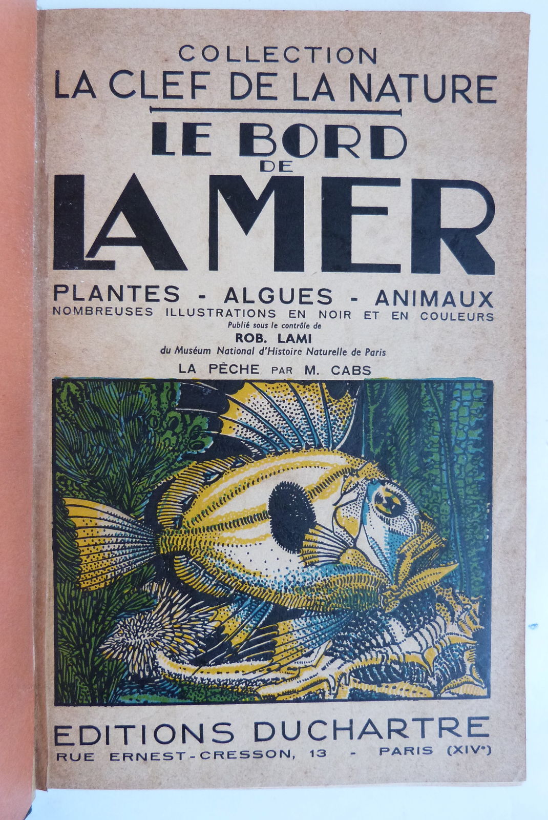 Le bord de la mer. Plantes - Algues - Animaux.