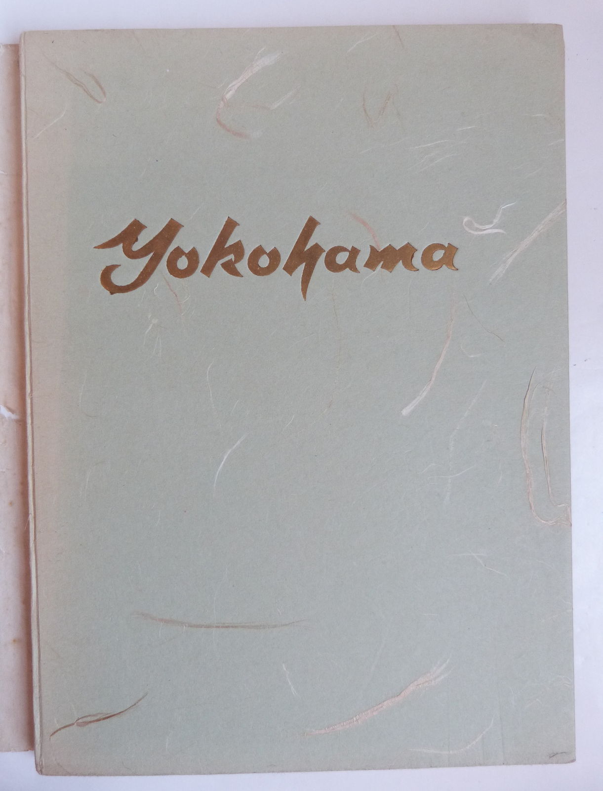 Présentation générale de Yokohama, Japon