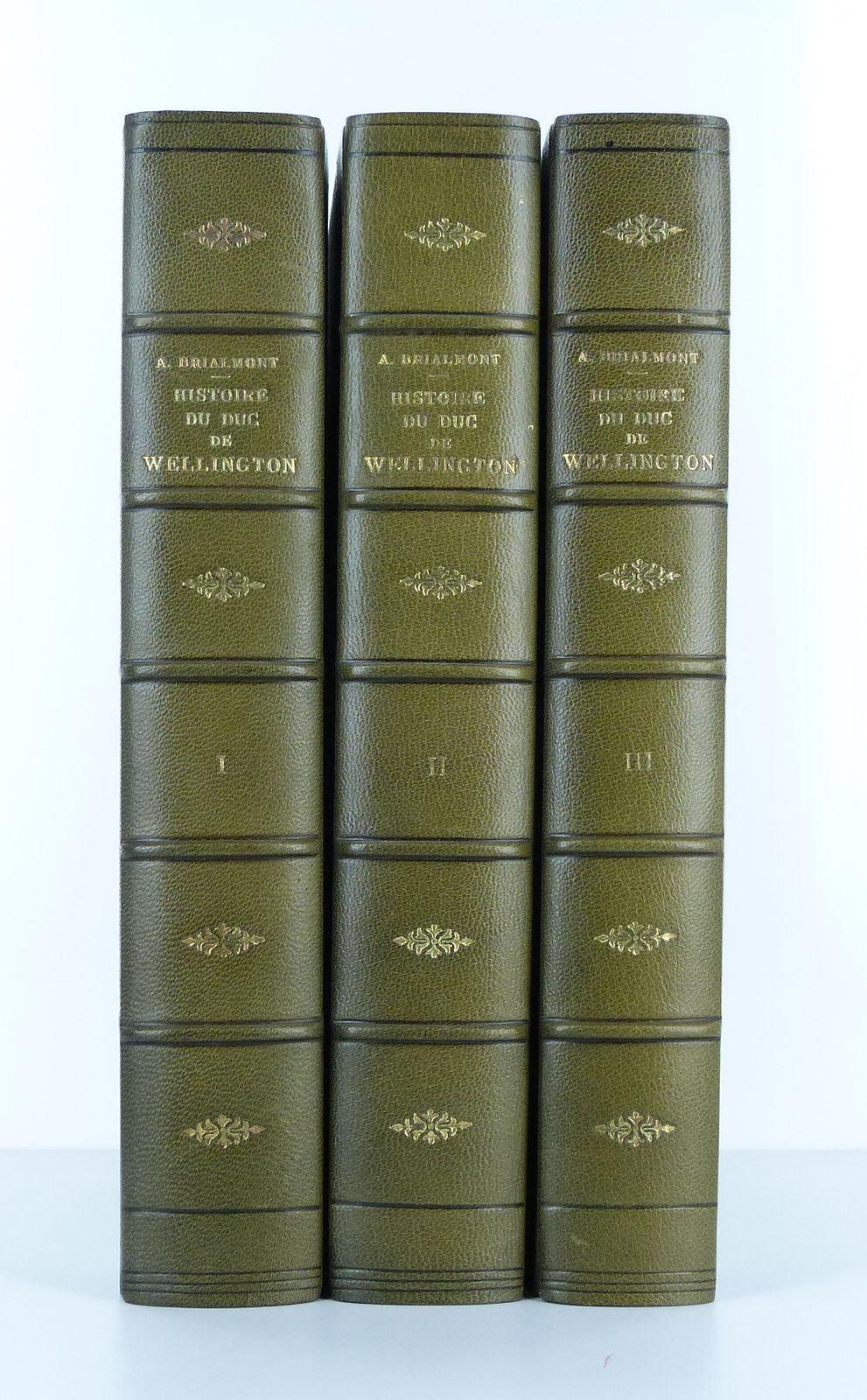 Histoire du duc de Wellington