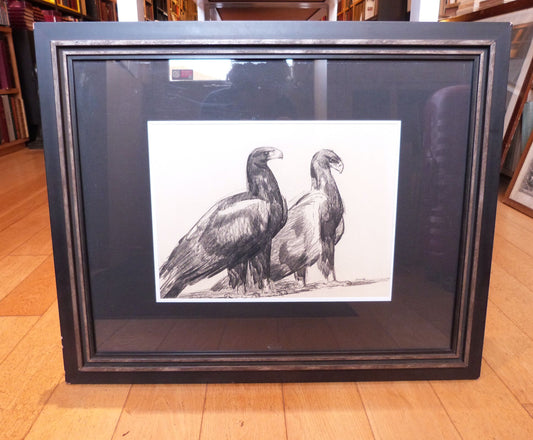 Dessin au crayon noir couple d'aigles par Paul Jouve