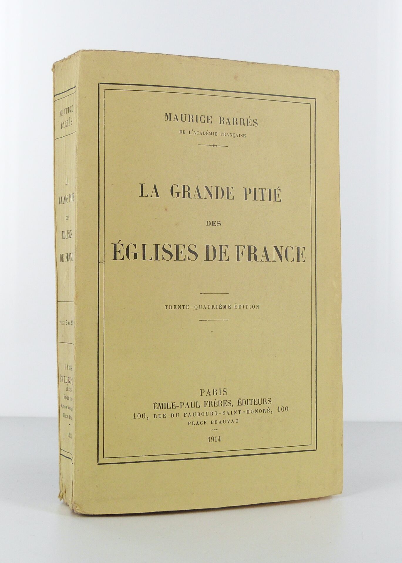 La grande pitié des église de France
