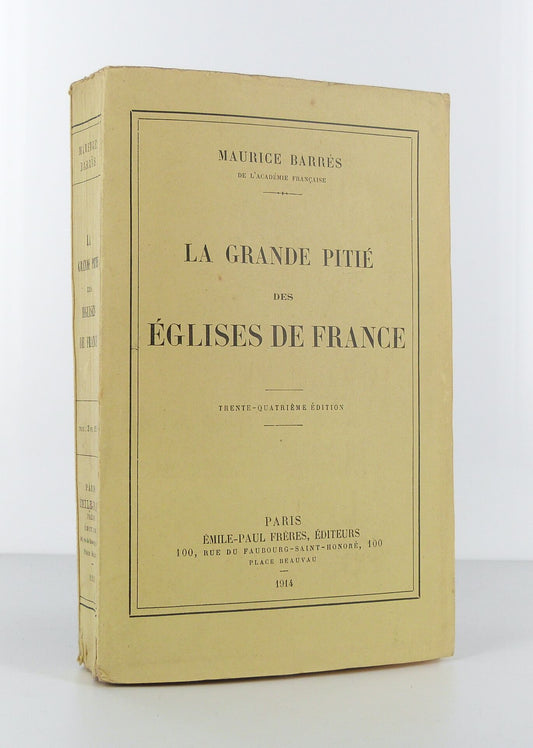 La grande pitié des église de France